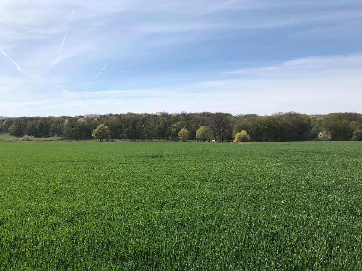 A L’orée Du Bois Hébergement de vacances Moncheux